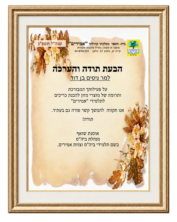 תעודת הוקרה מבית ספר אמירים